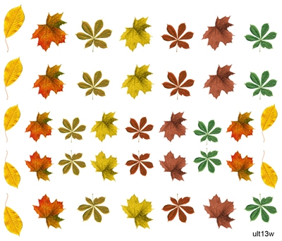 Слайдер серии`Ультра`, Осень, листья, растения ult13w - 1 