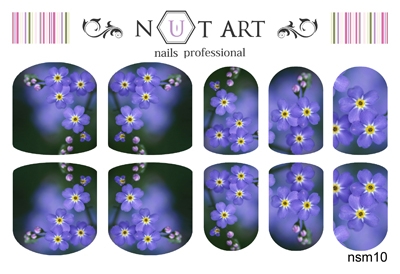 Слайдеры Nut Art Professional, Sommer Mixes nsm10 - 1 