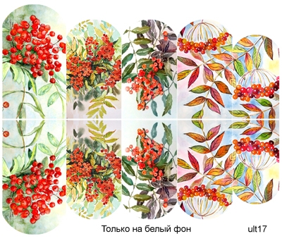 Слайдер-дизайн премиум, Осень, листья, растения ult17 - 1 