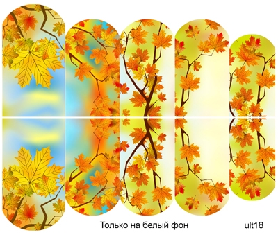 Слайдер-дизайн премиум, Осень, листья, растения ult18 - 1 