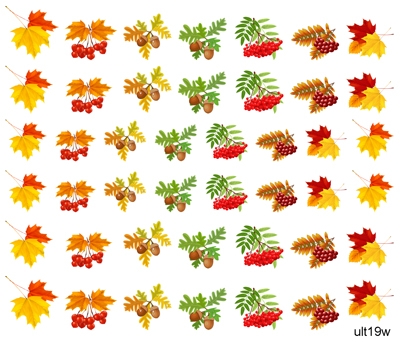 Слайдер-дизайн премиум, Осень, листья, растения ult19w - 1 