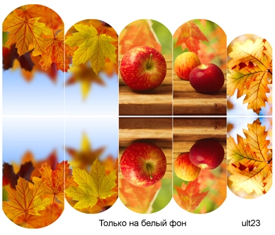 Слайдер-дизайн премиум, Осень, листья, растения ult23 - 1 
